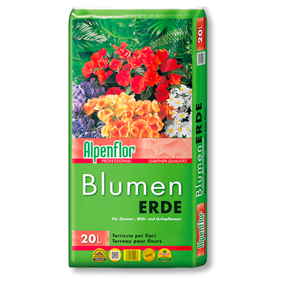 Alpenflor Blumenerde Beitragsbild